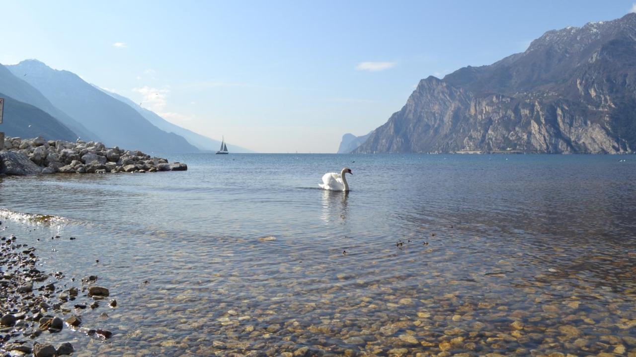 My Suite Home - Riva Del Garda Eksteriør billede